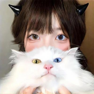 双重间谍